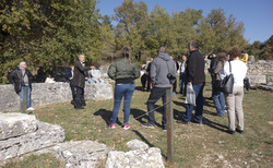 3_250x154_crop_478b24840a