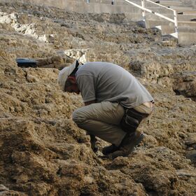 arheologiq-unsplash_280x280_crop_478b24840a