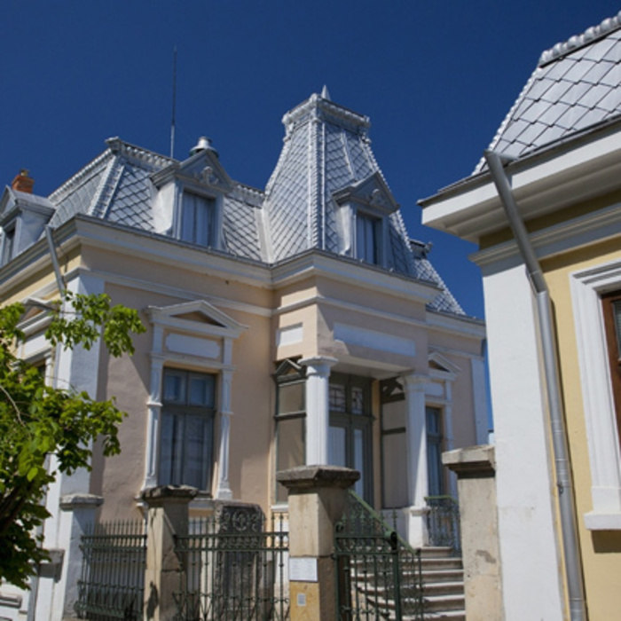 tutrackan_700x700_crop_478b24840a