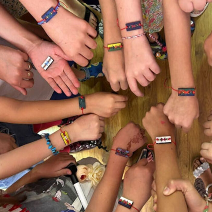 urok-za_700x700_crop_478b24840a