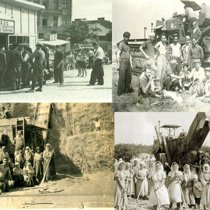 kolektivizaciya_700x700_crop_478b24840a