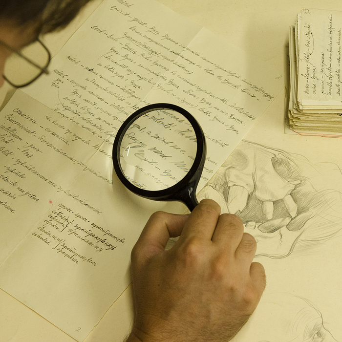 arch2_700x700_crop_478b24840a