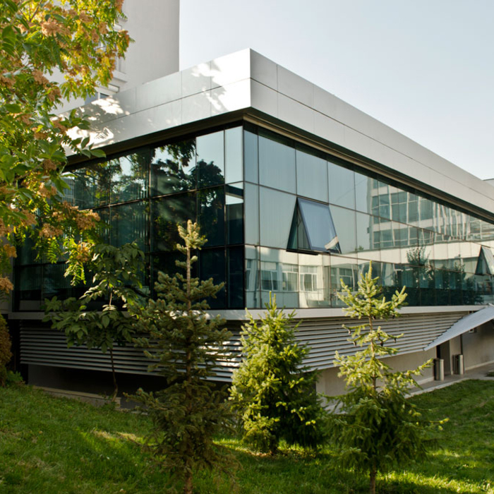 dsc-0005-copy_700x700_crop_478b24840a