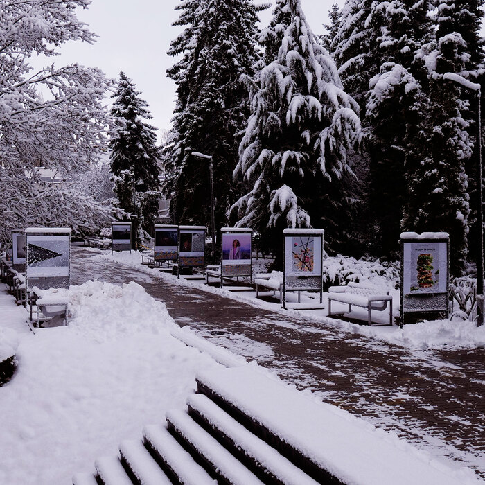 2455239_700x700_crop_478b24840a